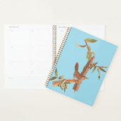 Audubon's Bewick's long Tail Wren Song Bird (Devant avec enveloppe)