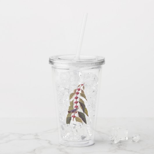 Audubon's Blauwe Groene Warbler Zong Bird Acryl Drinkbeker (Achterkant ijs)