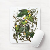 Audubon's Carolina Parakeets Muismat (Met muis)