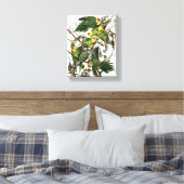Audubon's Carolina Paraket Canvas Afdruk (Insitu (Slaapkamer))