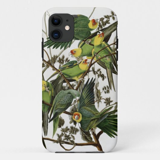 Audubon's Carolina Paraket Case-Mate iPhone Case (Achterkant)