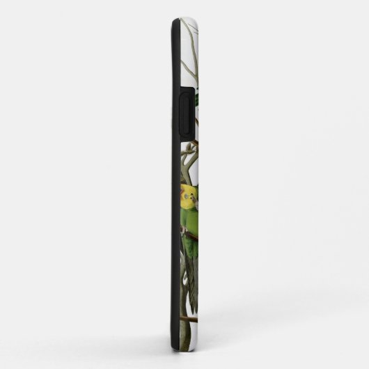 Audubon's Carolina Paraket Case-Mate iPhone Case (Achterkant/rechts)