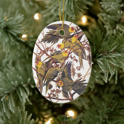Audubon's Carolina Paraket Keramisch Ornament (Boom)