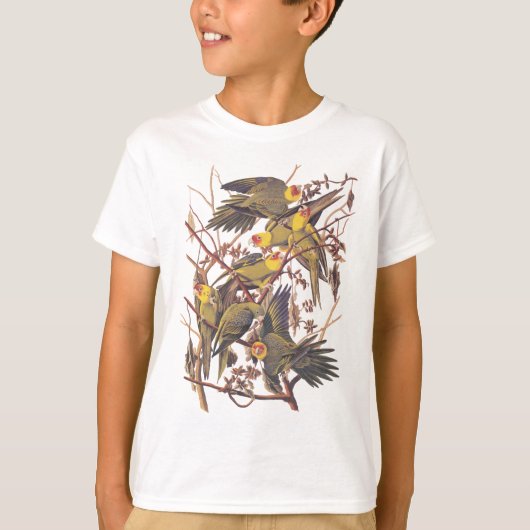 Audubon's Carolina Paraket T-shirt (Voorkant)