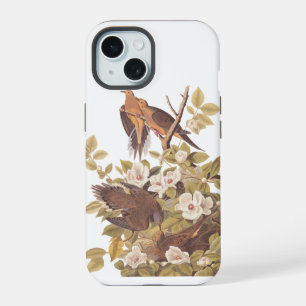 Audubon's Carolina Turtle Dove iPhone 15 Hoesje