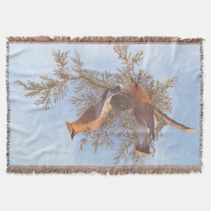 Audubon's Cedar Waxwing Bird Pair op Evergreen Deken