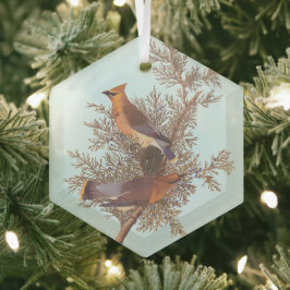 Audubon's Cedar Waxwing Bird Pair op Evergreen Glas Ornament