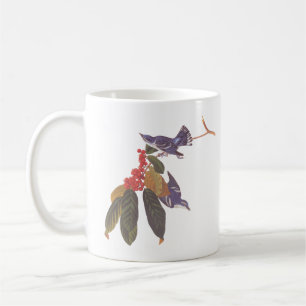 Audubon's Cerulean Blue-Green Warbler Birds Koffiemok