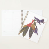Audubon's Cerulean Warbler vogels met Beer Berries Planner (Display)