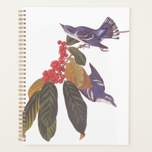 Audubon's Cerulean Warbler vogels met Beer Berries Planner (Voorkant)