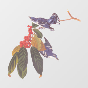 Audubon's Cerulean Warbler vogels met Beer Berries Raamsticker