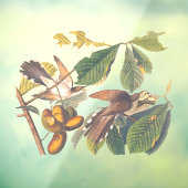 Audubon's gele koekoeienSleutelhanger Raamsticker (Vel 3)