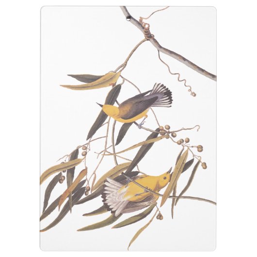 Audubon's Gele prothonotary Warbler Bird Pair Klembord (Achterkant)