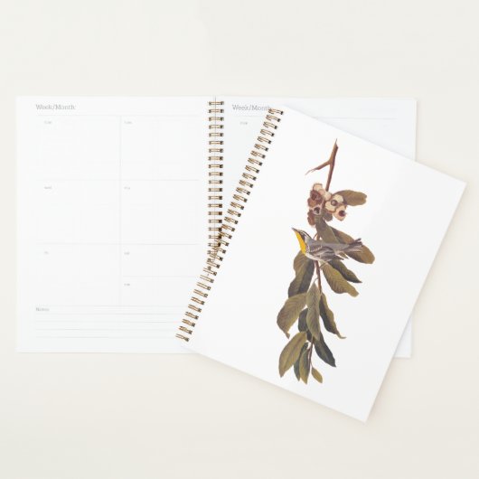 Audubon's gele warbler-vogel op boomtak planner (Display)