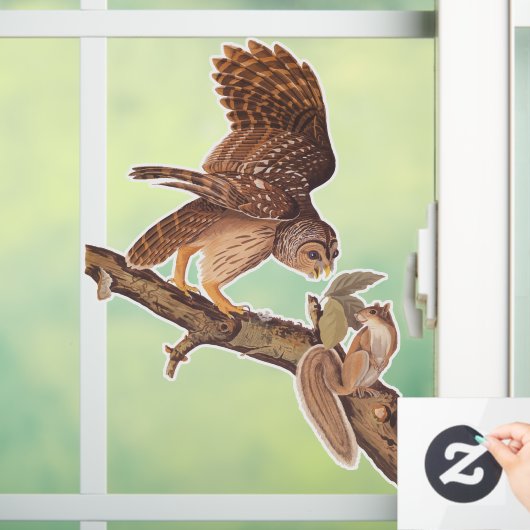 Audubons Gestreepte Uil en Eekhoorn Onwaarschijnli Raamsticker (Huis)