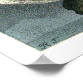 Audubon's Gyrfalcon Poster (Hoek)