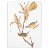 Audubon's Kentucky Warbler Bird Paar met een spin Klembord (Achterkant)