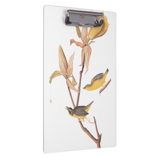 Audubon's Kentucky Warbler Bird Paar met een spin Klembord (Rechts)