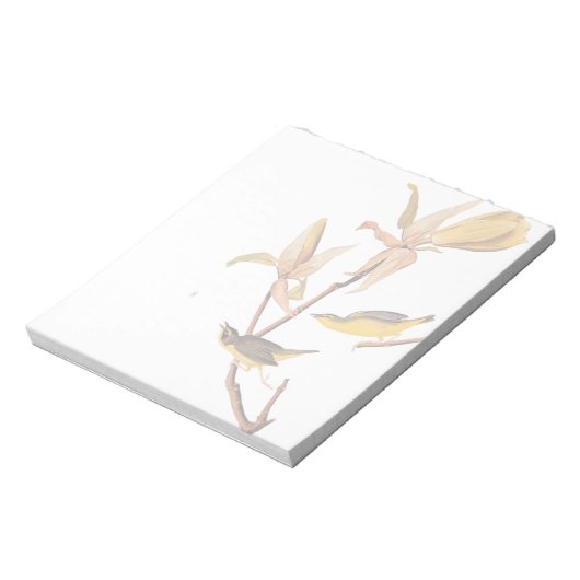 Audubon's Kentucky Warbler Bird Paar met een spin Notitieblok (Gedraaid)