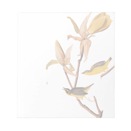 Audubon's Kentucky Warbler Bird Paar met een spin Notitieblok (Voorkant)