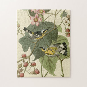 Audubon's Magnolia Warbler Legpuzzel