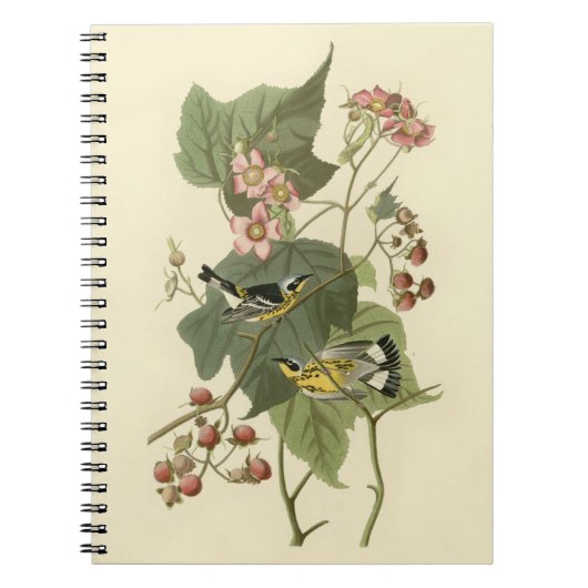 Audubon's Magnolia Warbler Notitieboek (Voorkant)