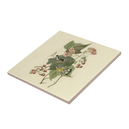 Audubon's Magnolia Warbler Tegeltje (Zijkant)