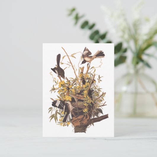 Audubon's Mockingvogels vs Rattlesnake Briefkaart (Staand voorkant)