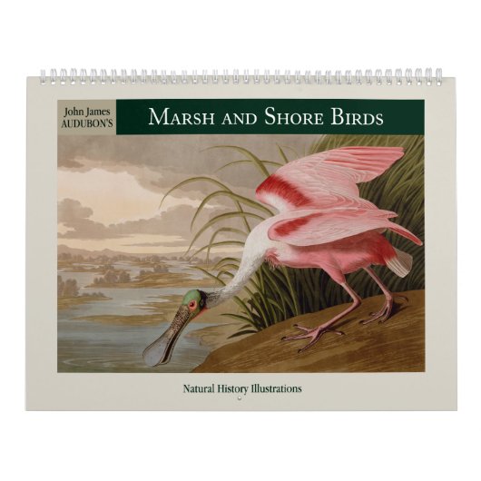 Audubon's moeras- en kustvogels 2026 kalender (Hoes)