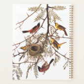 Audubon's Orchard Oiseaux orientaux nichant dans l (Dos)