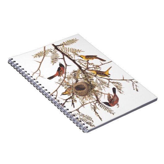 Audubon's orchard Oriole Birds Nesting in Tree Notitieboek (Rechterzijde)