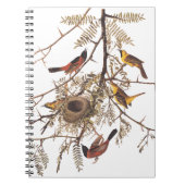 Audubon's orchard Oriole Birds Nesting in Tree Notitieboek (Voorkant)