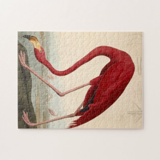 Audubon's Red Flamant rose Jigsaw Puzzle Puzzle (Horizontal)