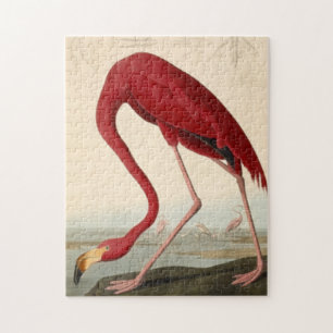 Audubon's Red Flamingo Jigzaag Puzzle Legpuzzel