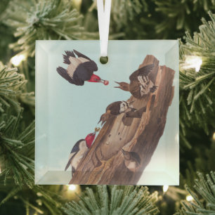 Audubon's Red-Headed Woodpecker Familie in Log Glas Ornament