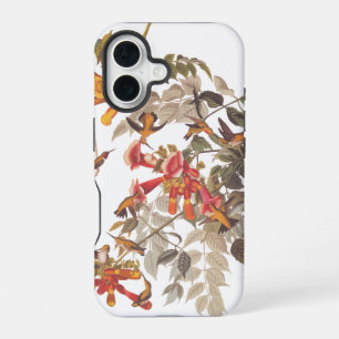 Audubon's Ruby Throated Hummingbird and Flowers iPhone 16 Hoesje