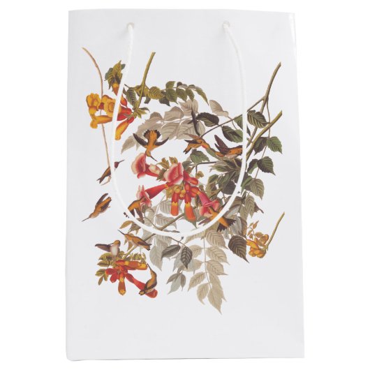 Audubon's Ruby Throated Hummingbird and Flowers Medium Cadeauzakje (Voorkant)