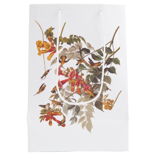 Audubon's Ruby Throated Hummingbird and Flowers Medium Cadeauzakje (Achterkant)