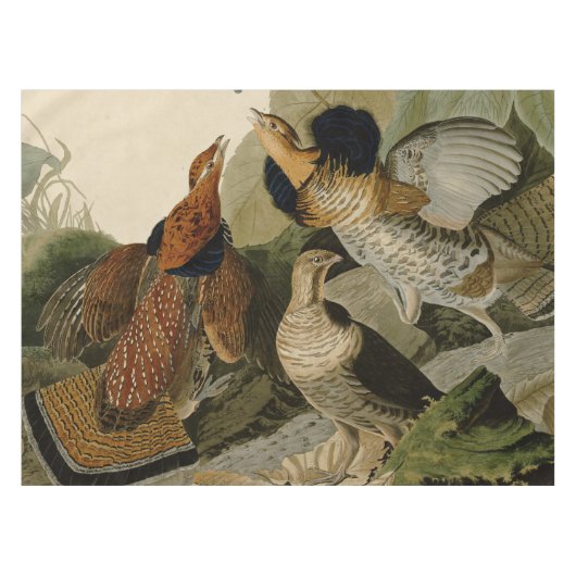 Audubon's schilderen van een trio van Ruffed Grous Tafelkleed (Voorkant (Horizontaal))