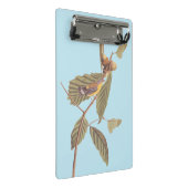 Audubon's Swainson's Warbler op Oak Branch Mini Klembord (Schuin)