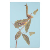 Audubon's Swainson's Warbler op Oak Branch Mini Klembord (Achterkant)