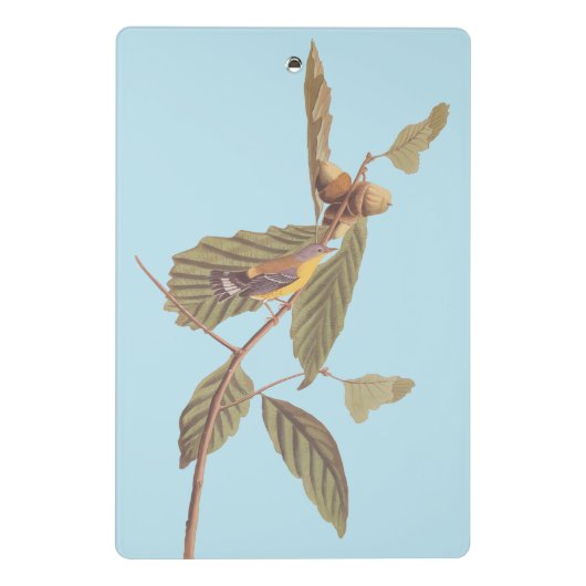 Audubon's Swainson's Warbler op Oak Branch Mini Klembord (Achterkant)