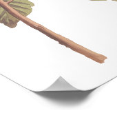 Audubon's Swainson's Warbler op Oak Branch Poster (Hoek)