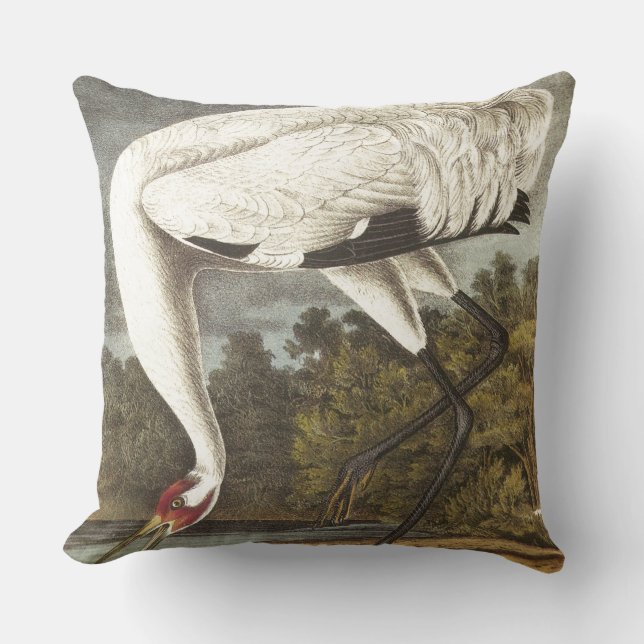 Audubon's Whooping Crane Kussen (Voorkant)