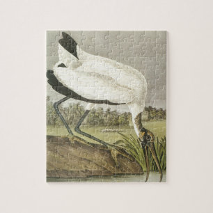 Audubons' Wood Stork Legpuzzel