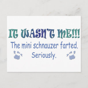 aug315fartMiniSchnauzer.jpg Briefkaart