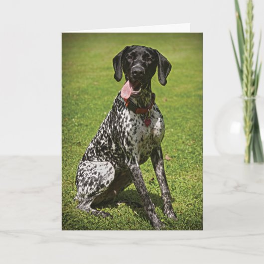 Augie carte de remerciements (Devant)