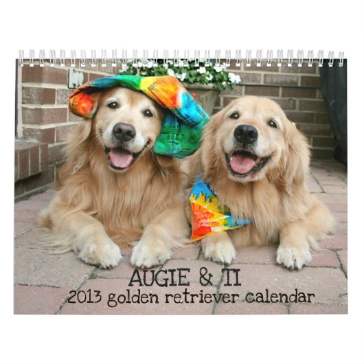 Augie et calendrier 2013 du golden retriever du Ti (Protection)