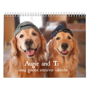 Augie et calendrier 2014 de golden retriever de Ti