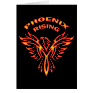 AUGMENTATION DE PHOENIX